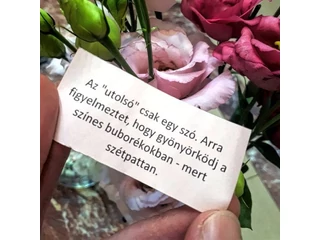 Ajándék lélekbonbonok